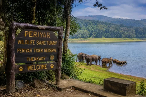 Periyar Wildlife Sanctuary and Tiger Reserve in Thekkady with elephants by the lake